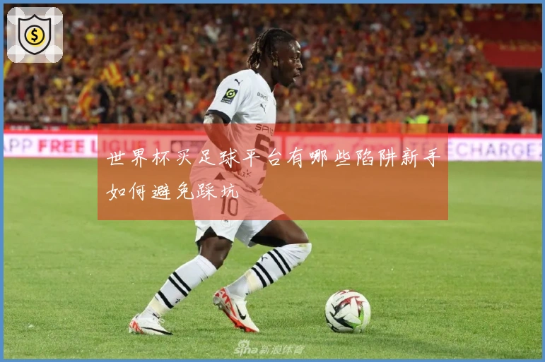 世界杯买足球平台有哪些陷阱新手如何避免踩坑