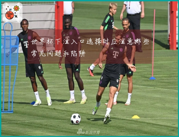 世界杯下注入口选择时应注意哪些常见问题和陷阱
