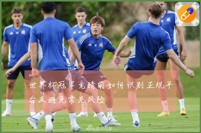 世界杯冠军竞猜前如何识别正规平台及避免常见风险