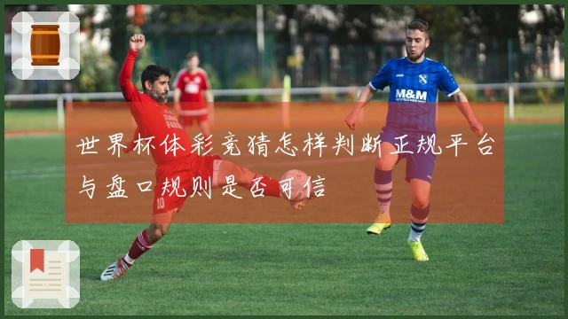 世界杯体彩竞猜怎样判断正规平台与盘口规则是否可信