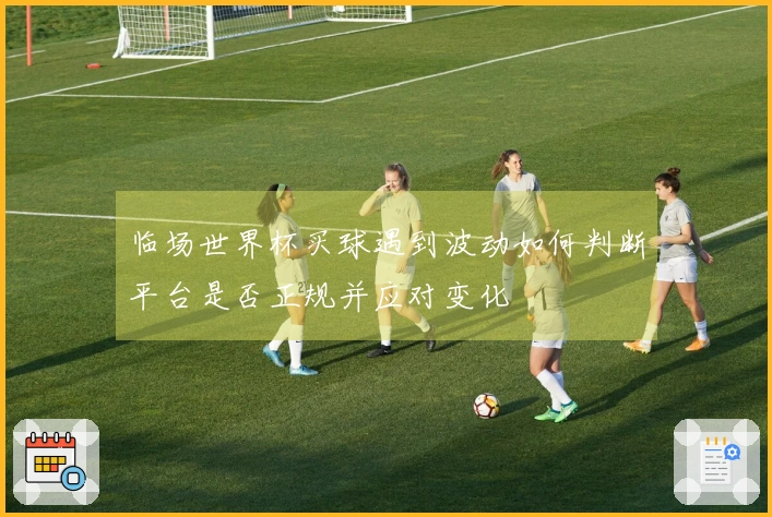 临场世界杯买球遇到波动如何判断平台是否正规并应对变化