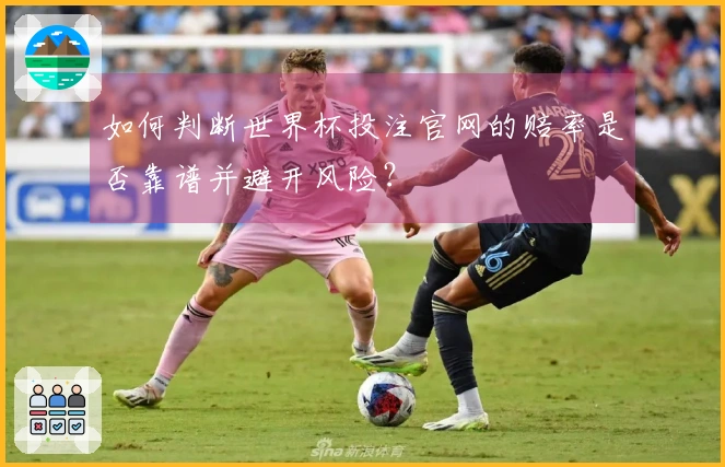 如何判断世界杯投注官网的赔率是否靠谱并避开风险?