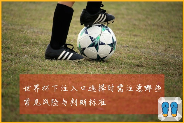 世界杯下注入口选择时需注意哪些常见风险与判断标准
