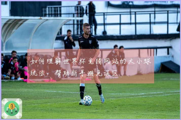 如何理解世界杯竞猜网站的大小球玩法，帮助新手避免误区