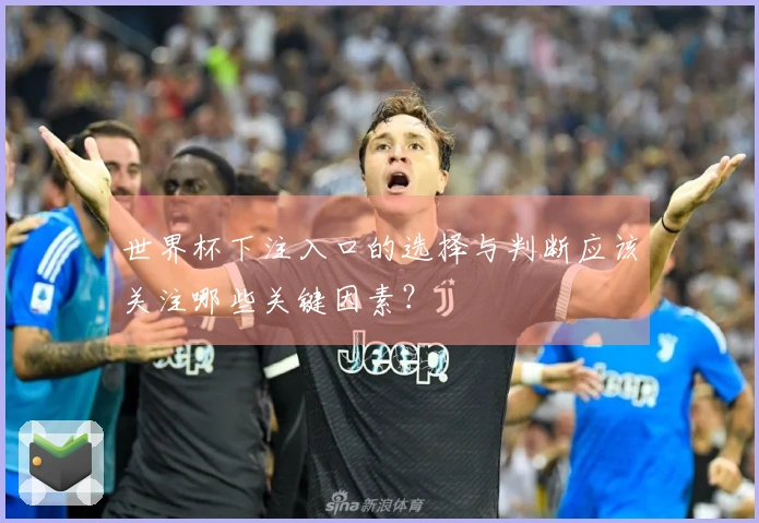 世界杯下注入口的选择与判断应该关注哪些关键因素？