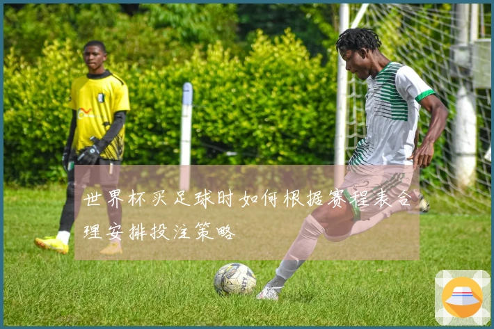 世界杯买足球时如何根据赛程表合理安排投注策略
