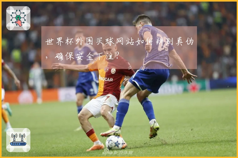世界杯外围买球网站如何辨别真伪，确保安全下注？