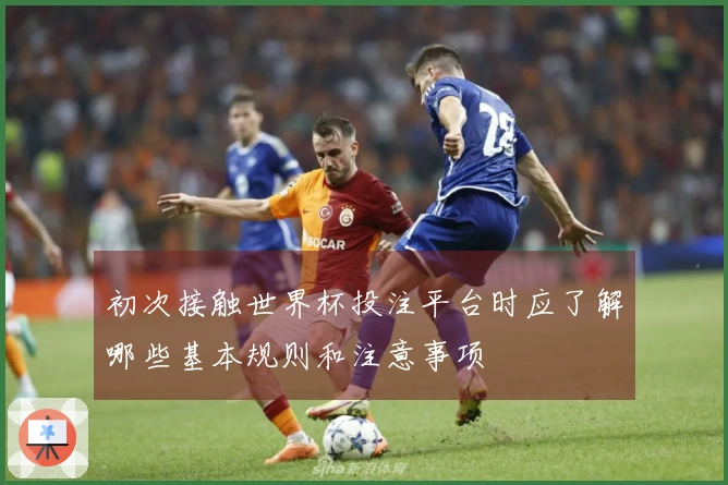 初次接触世界杯投注平台时应了解哪些基本规则和注意事项