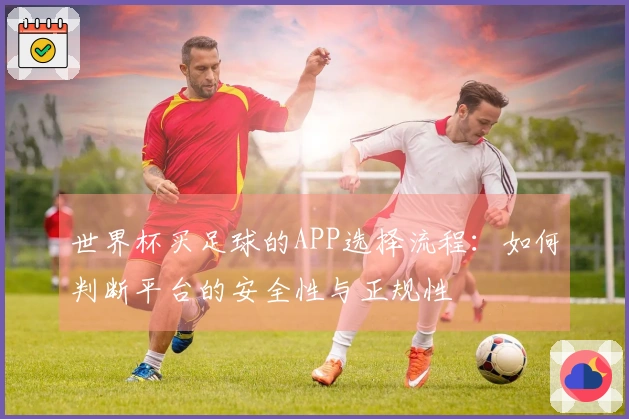 世界杯买足球的APP选择流程：如何判断平台的安全性与正规性