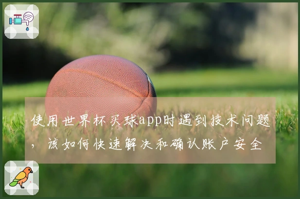 使用世界杯买球app时遇到技术问题，该如何快速解决和确认账户安全？