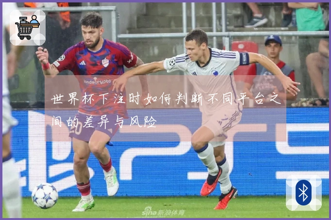 世界杯下注时如何判断不同平台之间的差异与风险