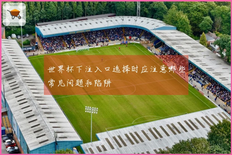 世界杯下注入口选择时应注意哪些常见问题和陷阱