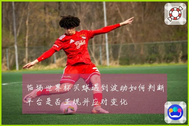 临场世界杯买球遇到波动如何判断平台是否正规并应对变化