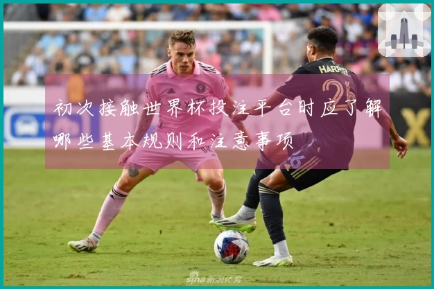 初次接触世界杯投注平台时应了解哪些基本规则和注意事项