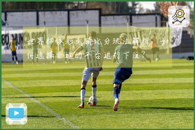 世界杯体彩竞猜比分玩法解析，如何选择合适的平台进行下注？
