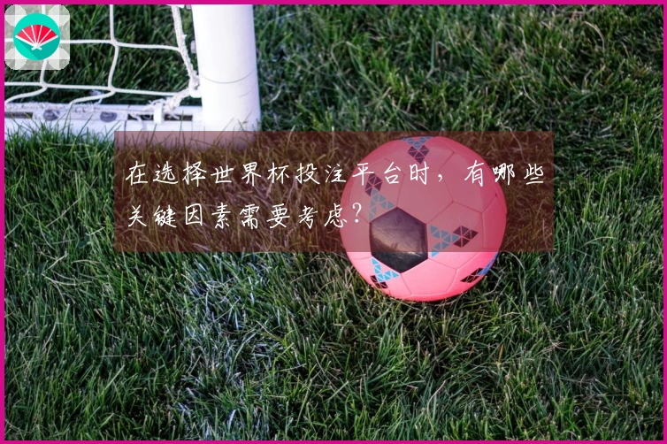 在选择世界杯投注平台时，有哪些关键因素需要考虑？