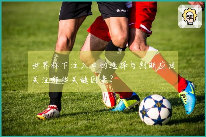 世界杯下注入口的选择与判断应该关注哪些关键因素？