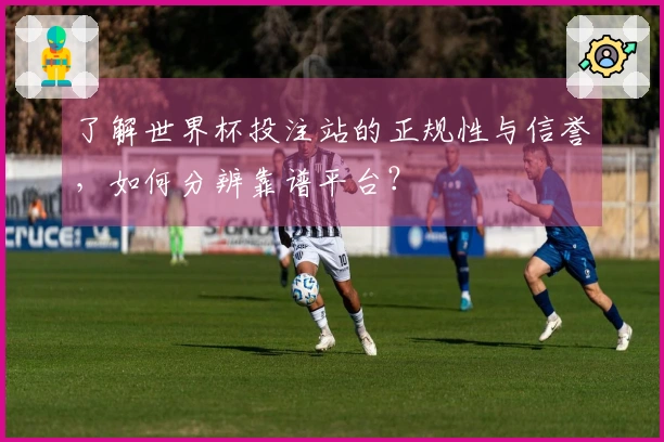 了解世界杯投注站的正规性与信誉,如何分辨靠谱平台?