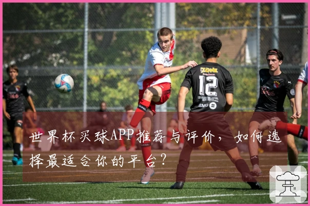世界杯买球APP推荐与评价，如何选择最适合你的平台？