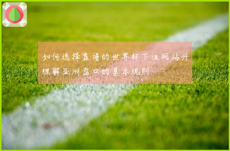 如何选择靠谱的世界杯下注网站并理解亚洲盘口的基本规则