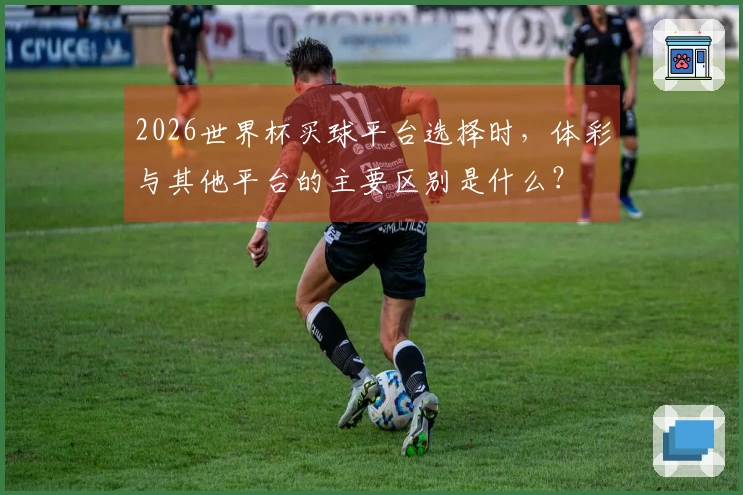 2026世界杯买球平台选择时，体彩与其他平台的主要区别是什么？
