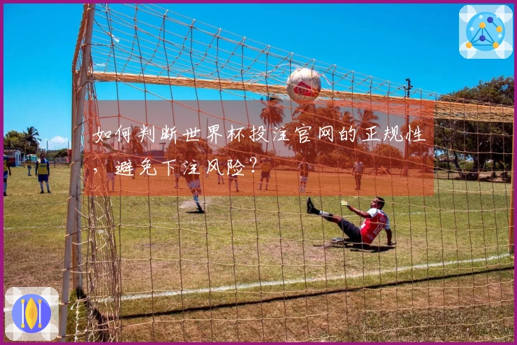 如何判断世界杯投注官网的正规性，避免下注风险？