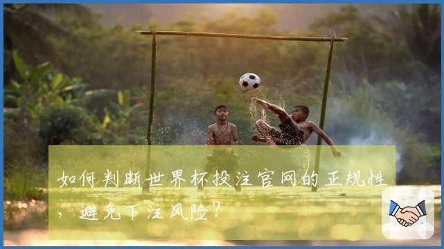 如何判断世界杯投注官网的正规性，避免下注风险？