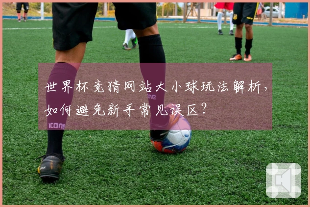 世界杯竞猜网站大小球玩法解析，如何避免新手常见误区？